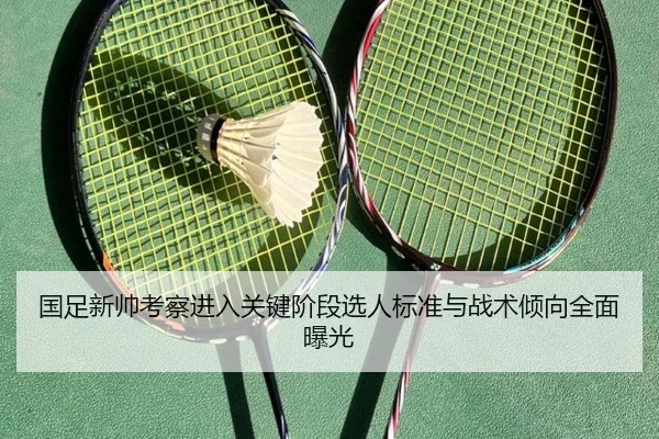 国足新帅考察进入关键阶段选人标准与战术倾向全面曝光